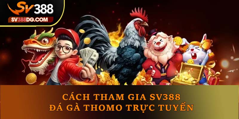 Cách tham gia SV388 đá gà Thomo trực tuyến Cách tham gia SV388 đá gà Thomo trực tuyến
