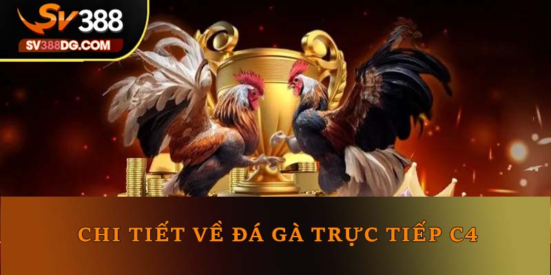 Chi tiết về đá gà trực tiếp C4 Chi tiết về đá gà trực tiếp C4
