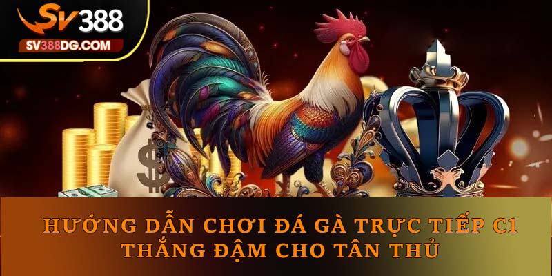 Hướng Dẫn Chơi Đá Gà Trực Tiếp C1 Thắng Đậm Cho Tân Thủ Hướng Dẫn Chơi Đá Gà Trực Tiếp C1 Thắng Đậm Cho Tân Thủ