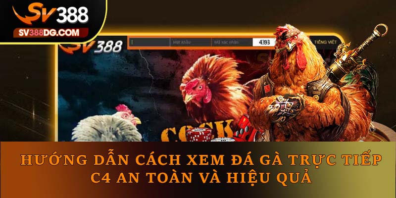Hướng Dẫn Xem Đá Gà Trực Tiếp C4 An Toàn Và Hiệu Quả Hướng Dẫn Xem Đá Gà Trực Tiếp C4 An Toàn Và Hiệu Quả