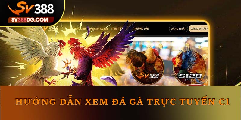 Hướng dẫn xem đá gà trực tuyến C1 Hướng dẫn xem đá gà trực tuyến C1