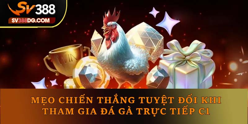 Mẹo chiến thắng tuyệt đối khi tham gia đá gà trực tiếp C1 Mẹo chiến thắng tuyệt đối khi tham gia đá gà trực tiếp C1