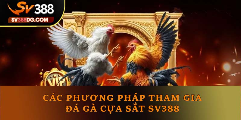 Các phương pháp tham gia đá gà cựa sắt SV388 Các phương pháp tham gia đá gà cựa sắt SV388