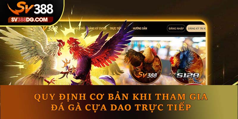 Quy định cơ bản khi tham gia đá gà cựa dao trực tiếp Quy định cơ bản khi tham gia đá gà cựa dao trực tiếp