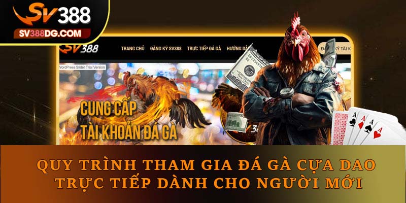 Quy trình tham gia đá gà cựa dao trực tiếp dành cho người mới Quy trình tham gia đá gà cựa dao trực tiếp dành cho người mới