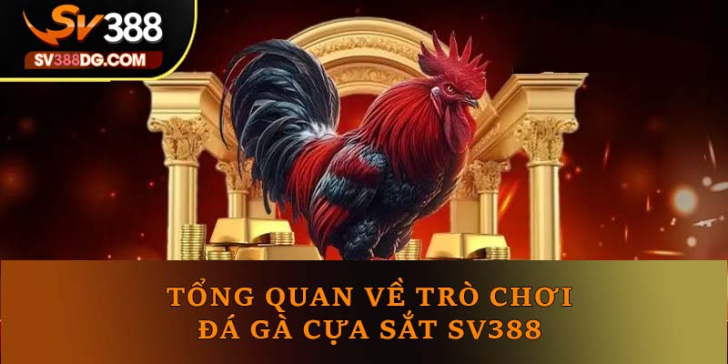 Tổng quan về trò chơi đá gà cựa sắt SV388 Tổng quan về trò chơi đá gà cựa sắt SV388